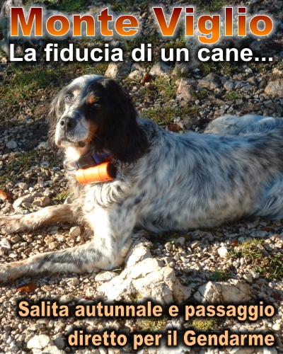 Monte Viglio e la fiducia di un cane...