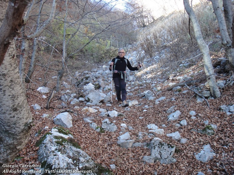 Monte Cava per la "via dei Boliviani"...