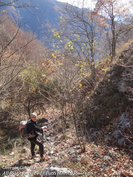 Monte Cava per la "via dei Boliviani"...