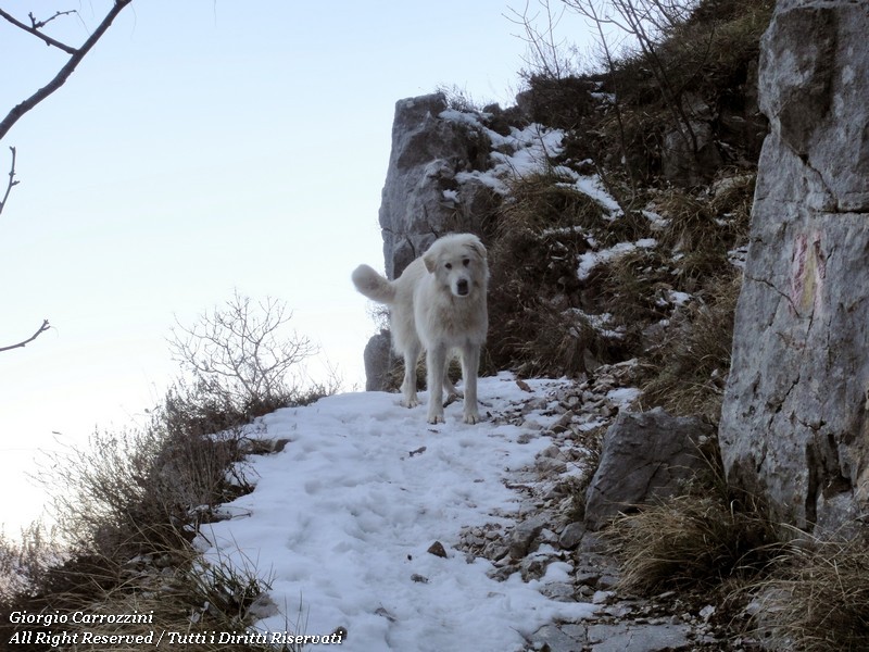 Monte Murolungo: il senso di una promessa