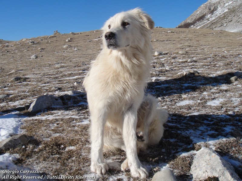 Monte Murolungo: il senso di una promessa