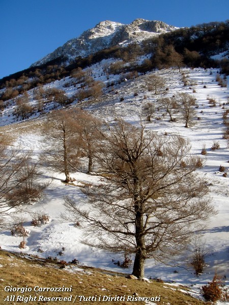 Monte Murolungo: il senso di una promessa