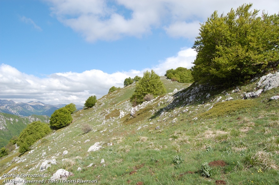 Monte Etra, riscattando il proprio "ego"