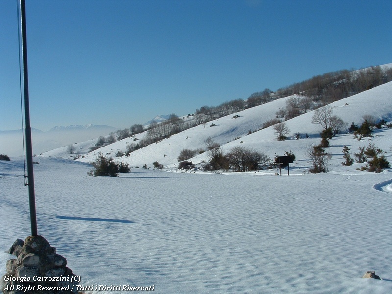 Monte Sevice da Passo le Forche