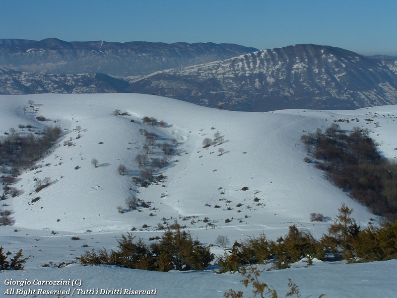 Monte Sevice da Passo le Forche
