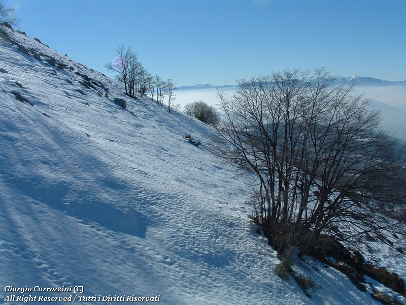 Monte Sevice da Passo le Forche