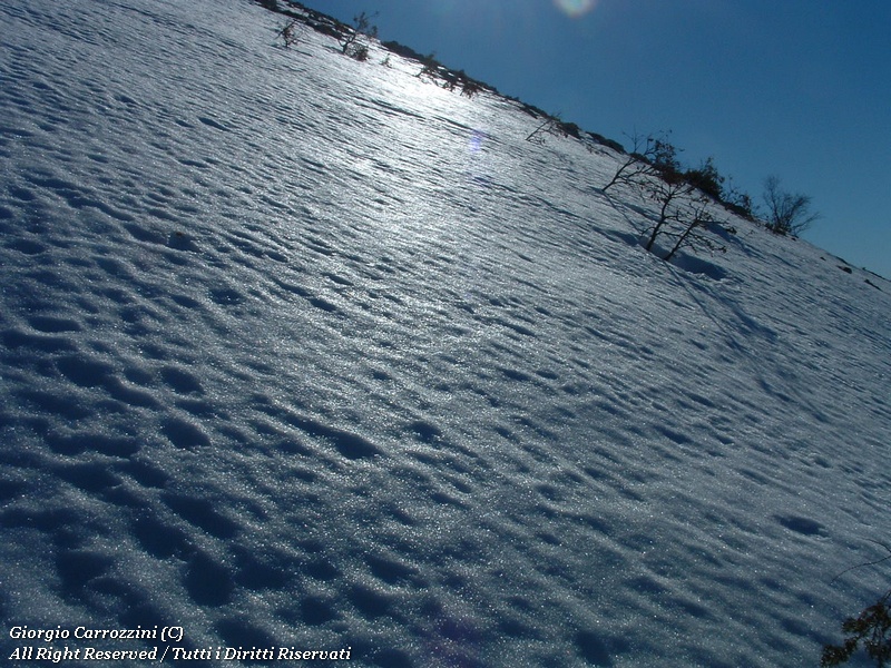 Monte Sevice da Passo le Forche