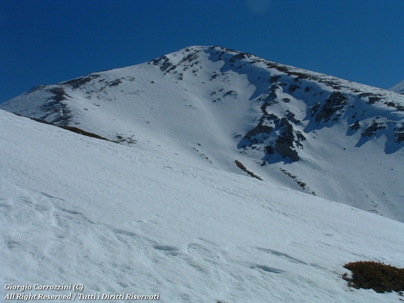 Monte Sevice da Passo le Forche
