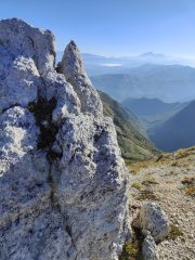 Monte Porcini (mt. 1982)