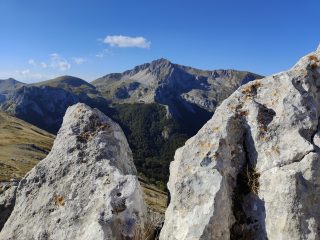 Monte Porcini (mt. 1982)