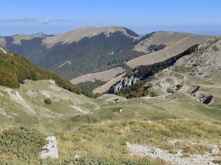 Monte Porcini (mt. 1982)
