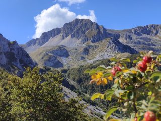 Monte Porcini (mt. 1982)