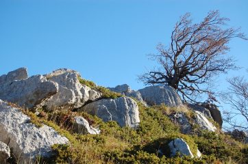 Il Costone (2271m) e il Monte Puzzillo (2174m)
