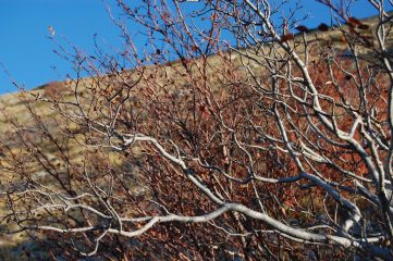 Monte Cefalone, Monte Ocre e Monte Cagno ad anello