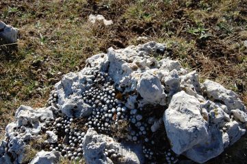 Monte Cefalone, Monte Ocre e Monte Cagno ad anello