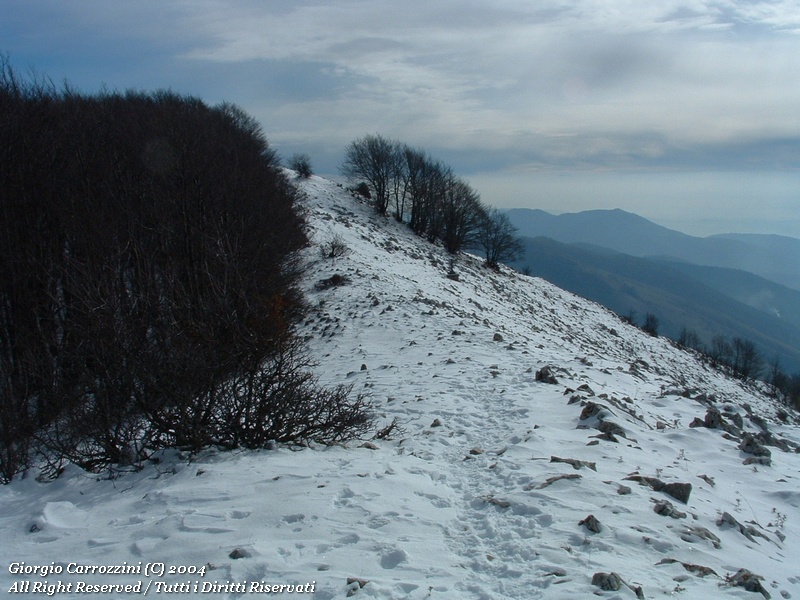 Monte Scalambra (1420 m) da Piglio