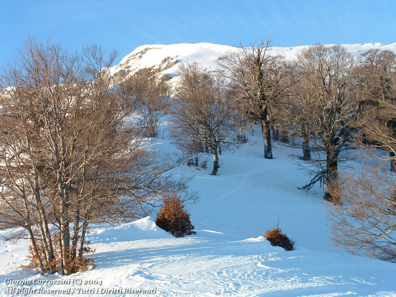 Monte Viglio, il fallimento di uno sciocco...