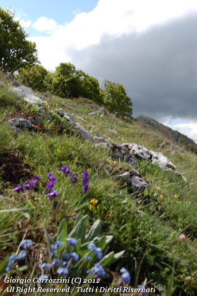Escursione al Monte Etra (1818 m) dalla Val d'Arano