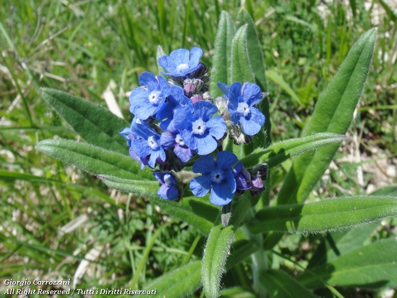 Alla ricerca del Rifugio del Fontanino