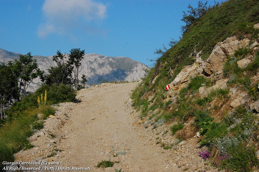 Monte di cambio - Il tempo per camminare...