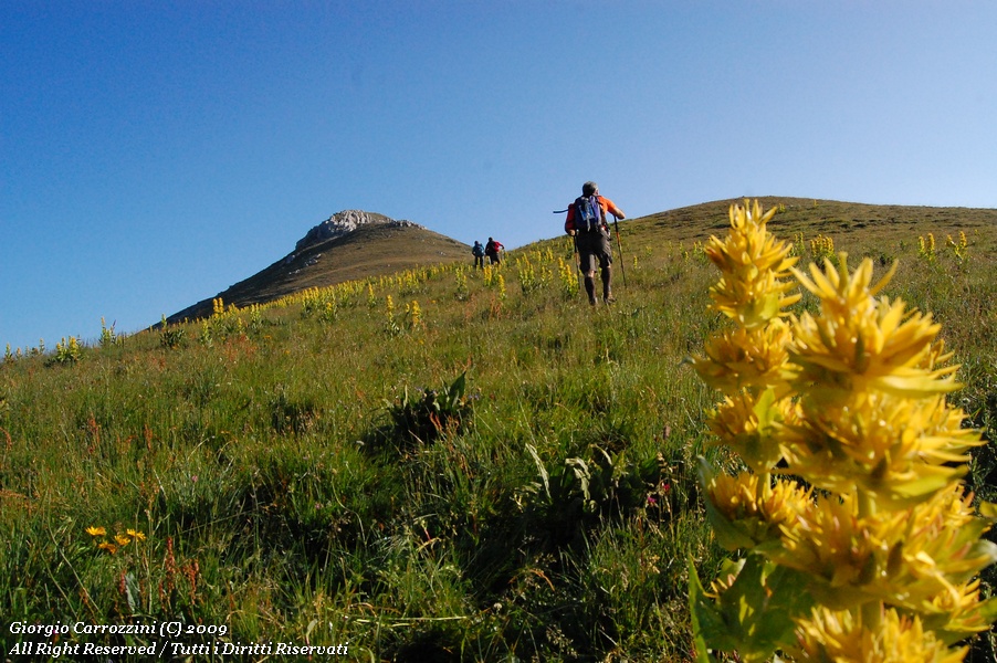 Monte di cambio - Il tempo per camminare...