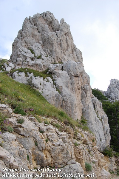 Monte di cambio - Il tempo per camminare...