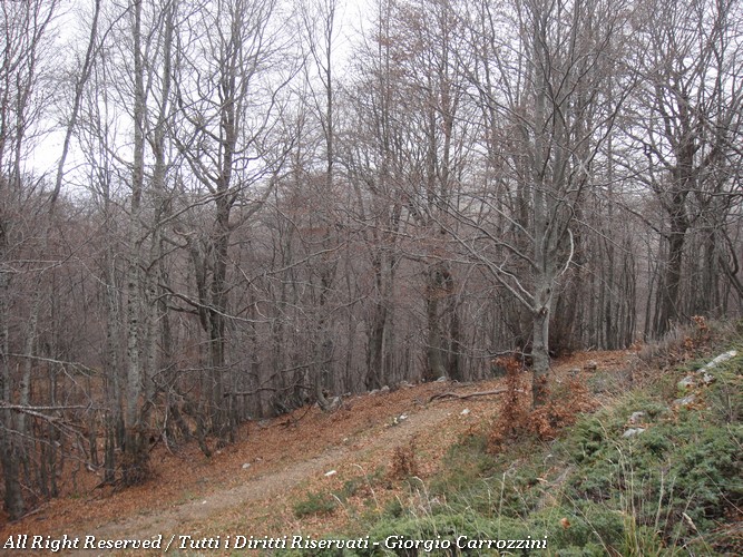 Monte Cavallo, Monte Mare e La Ferruccia