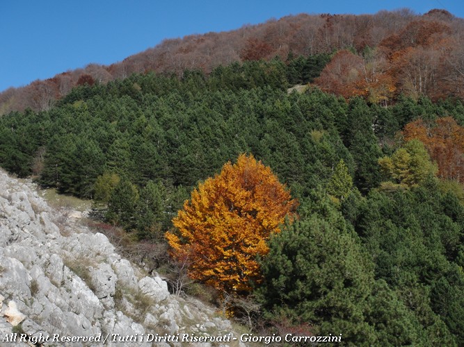 Monte Cavallo, Monte Mare e La Ferruccia