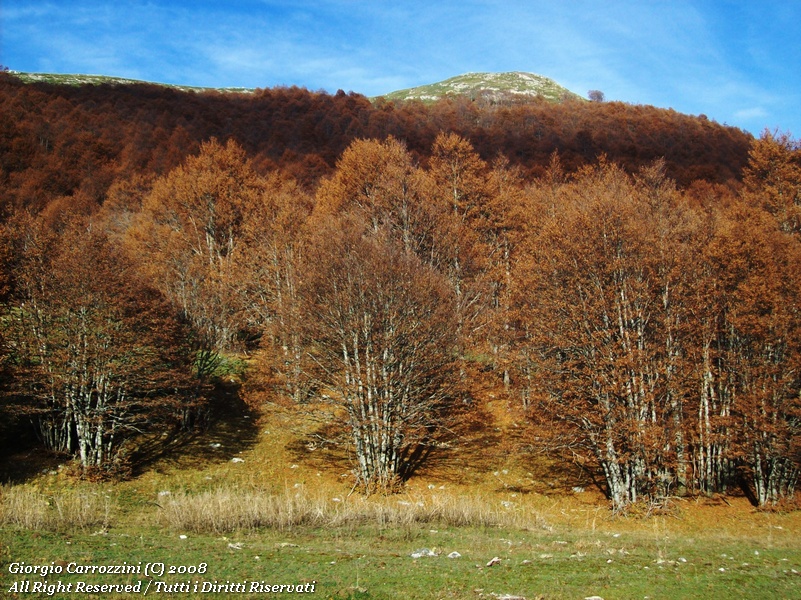 Giro del Monte Morrone e del Monte Uccettù