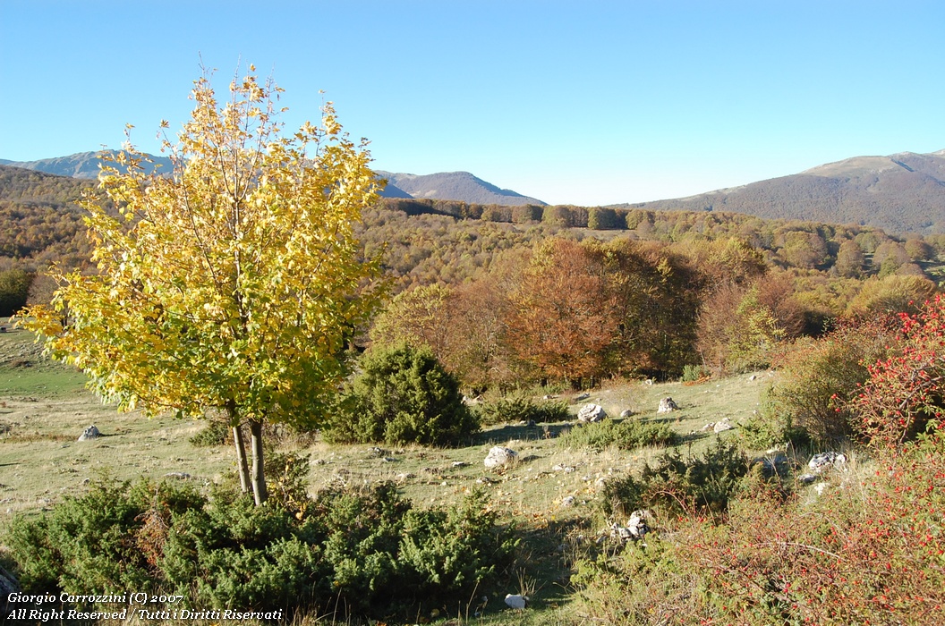 Monte "La Torricella" ovvero il doppio dei chilometri...