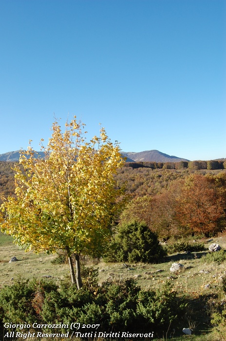Monte "La Torricella" ovvero il doppio dei chilometri...