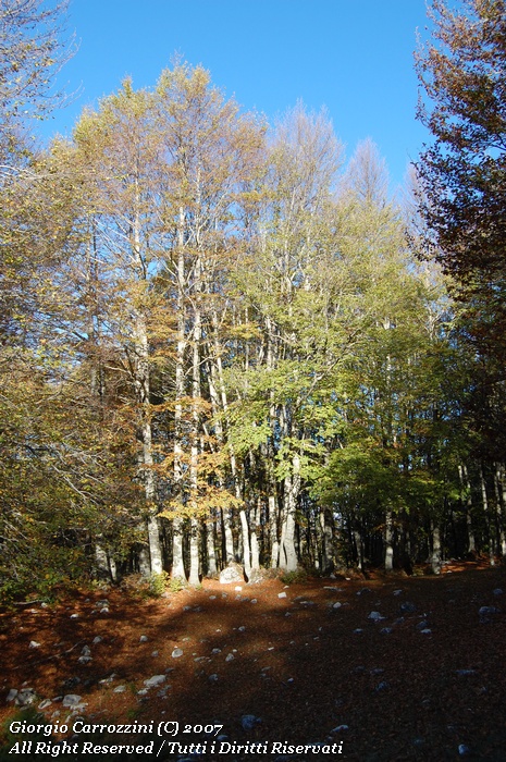 Monte "La Torricella" ovvero il doppio dei chilometri...