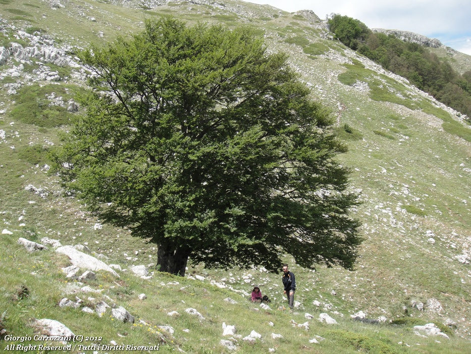 Monte Morrone (2141m) e Fonte della Vena