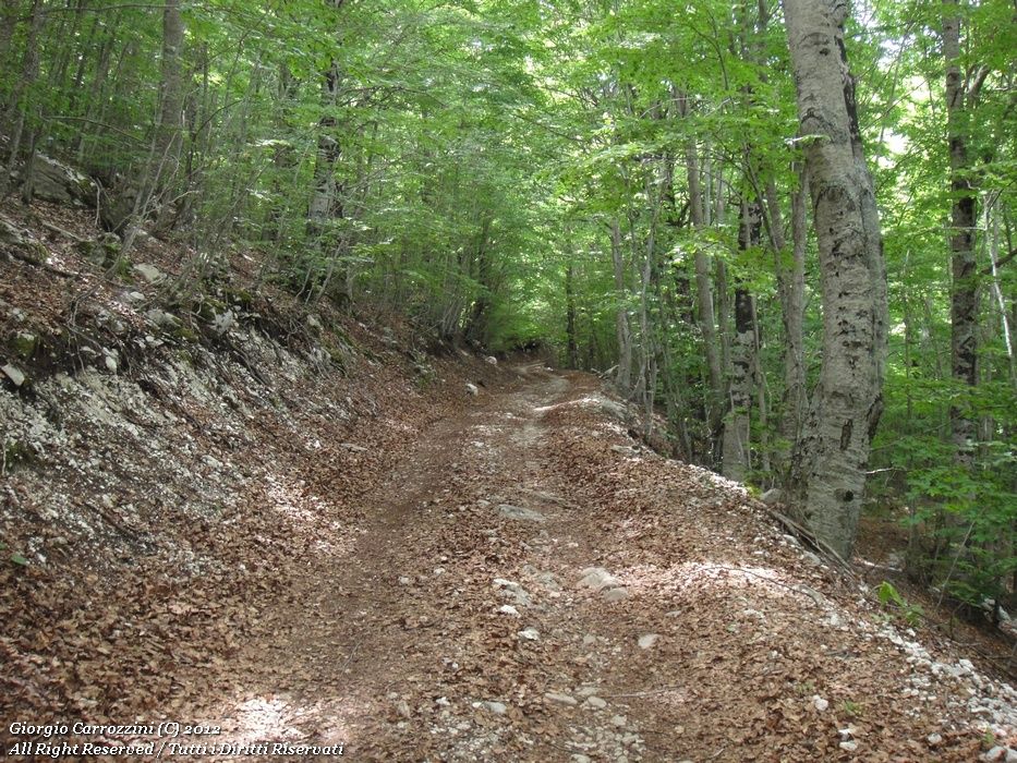 Escursione al Monte Morrone per la Fonte della Vena