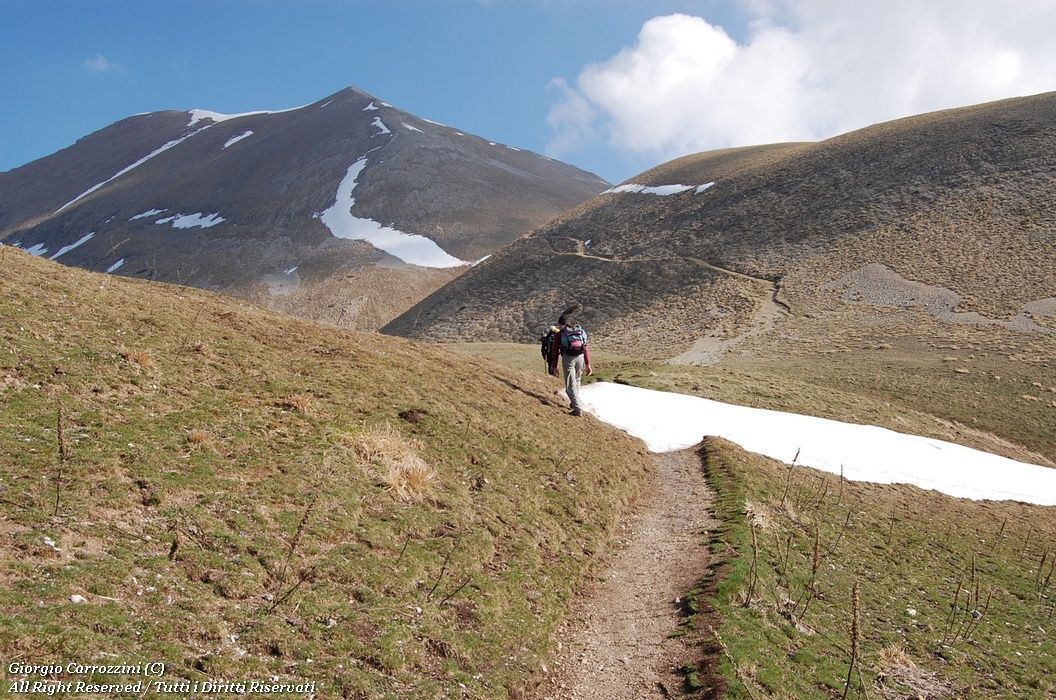 Monte Vettore (2476 m) da Forca di Presta per la via normale