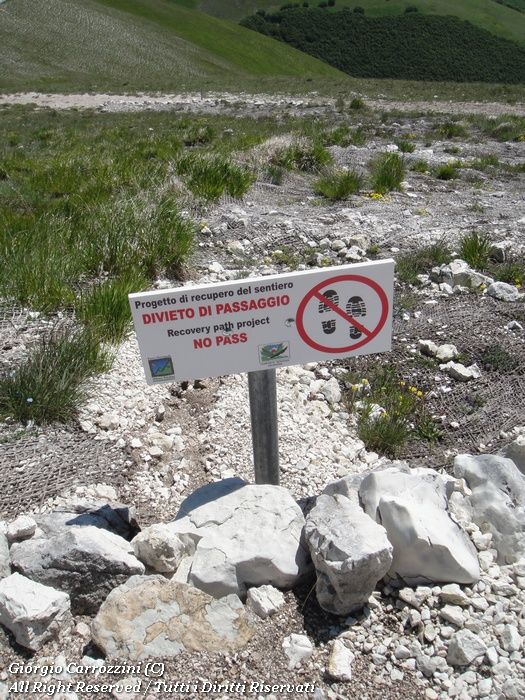 Monte Vettore (2476 m) da Forca di Presta per la via normale