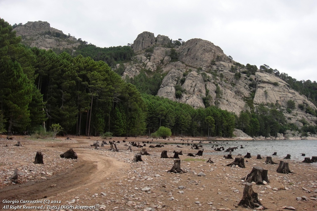 Corsica Meridionale: mare e montagna...
