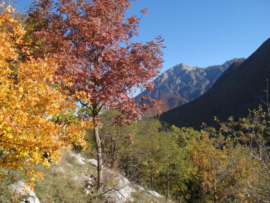 Monte Forcone, Marsicano e Monte Ninna