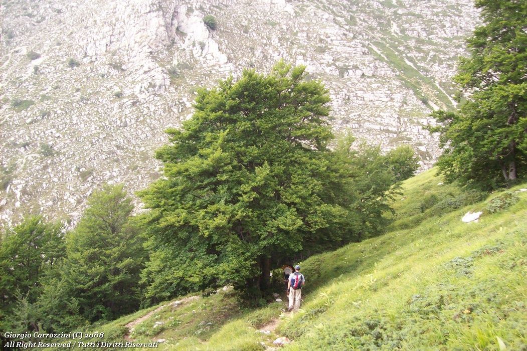 Traversata Alta del Monte Velino da Piani di Pezza a Rosciolo