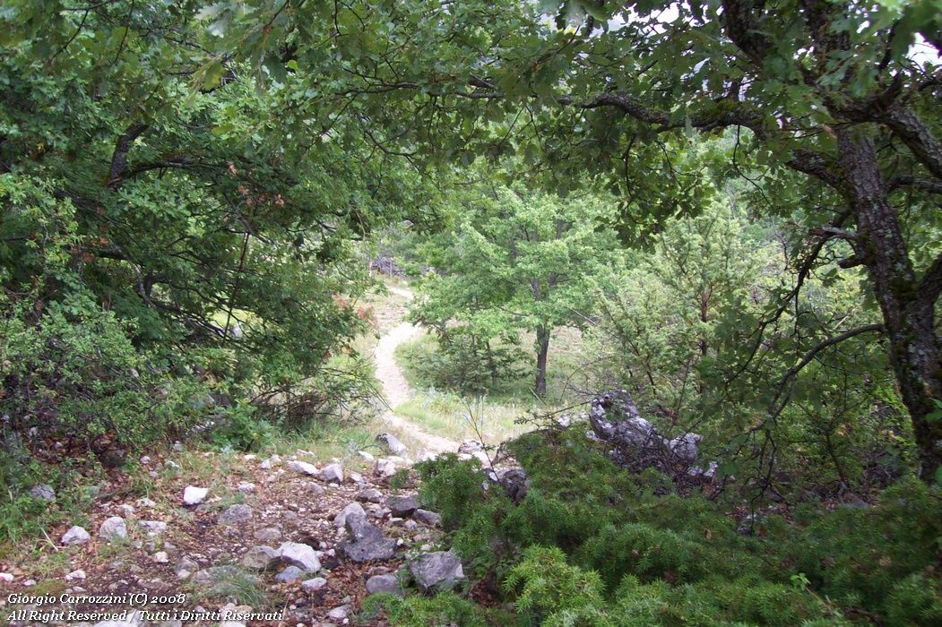 Traversata Alta del Monte Velino da Piani di Pezza a Rosciolo