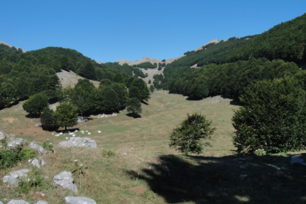 Baita "La Gallinola" - Ristoro