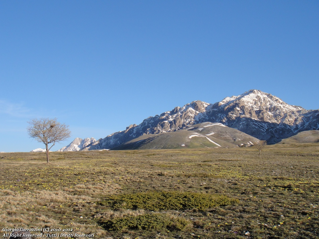 Le migliori foto dal 2010 al 2012