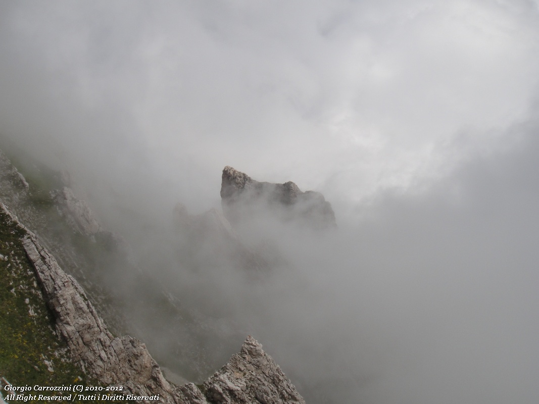 Le migliori foto dal 2010 al 2012