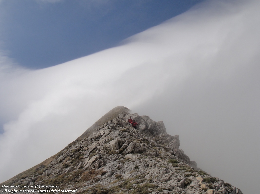 Le migliori foto dal 2010 al 2012