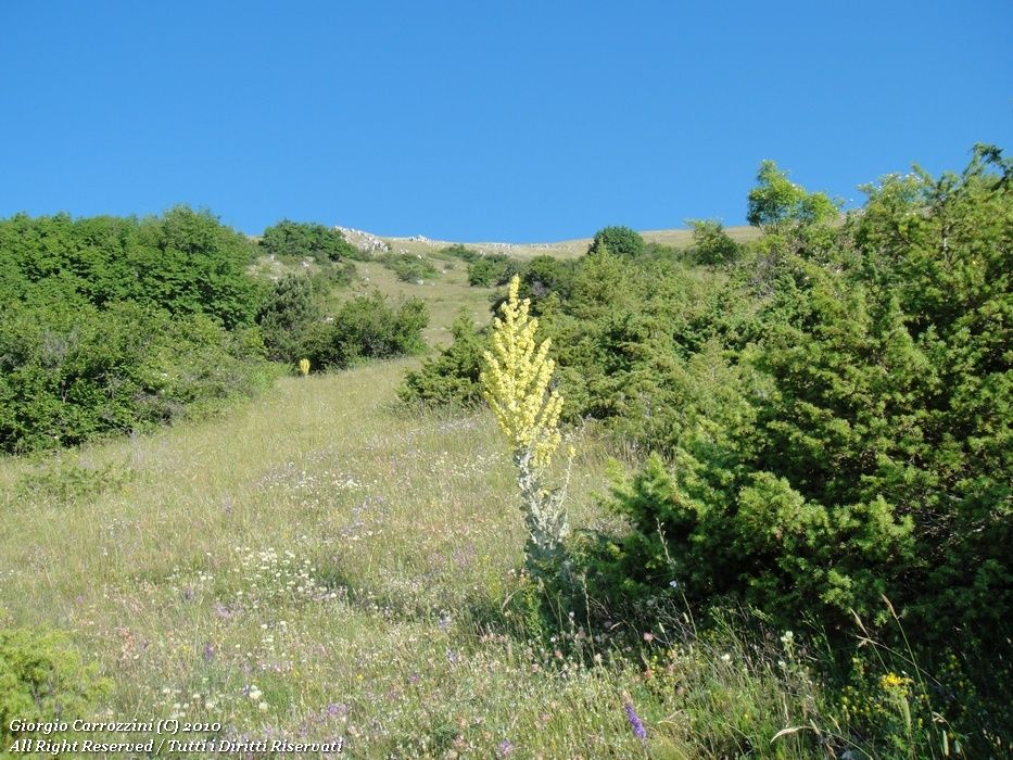 Escursione a Monte San Nicola da Gagliano Aterno