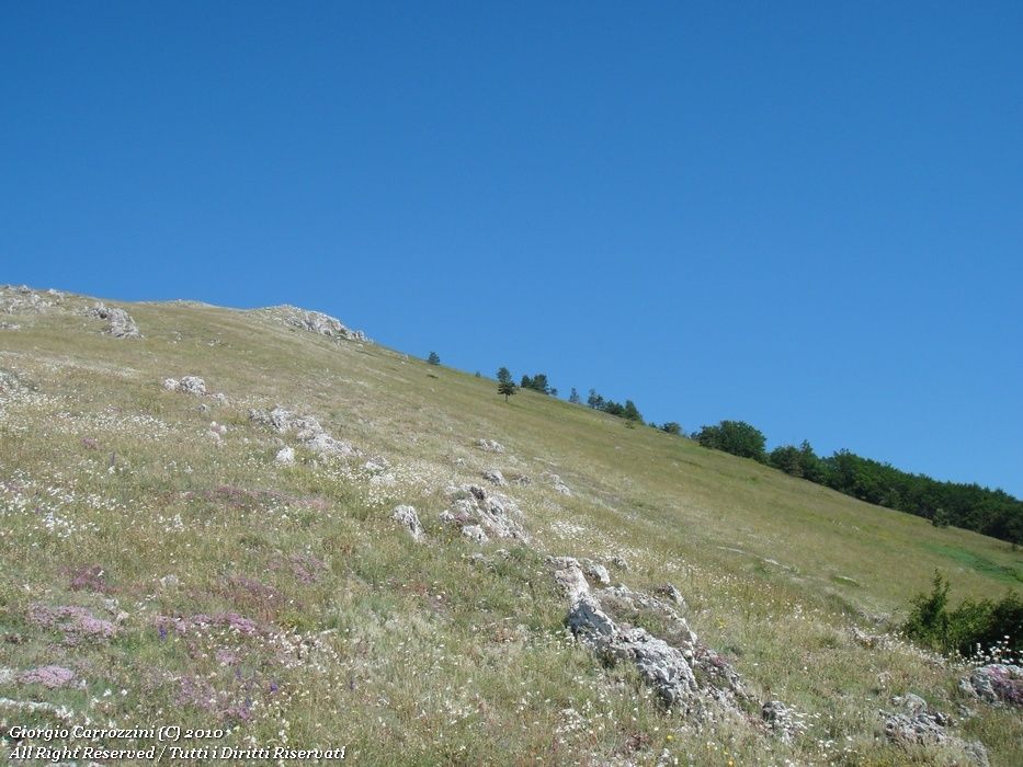 Escursione a Monte San Nicola da Gagliano Aterno