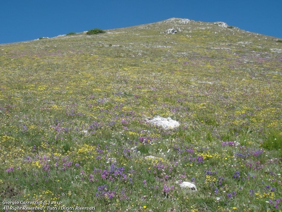 Escursione a Monte San Nicola da Gagliano Aterno