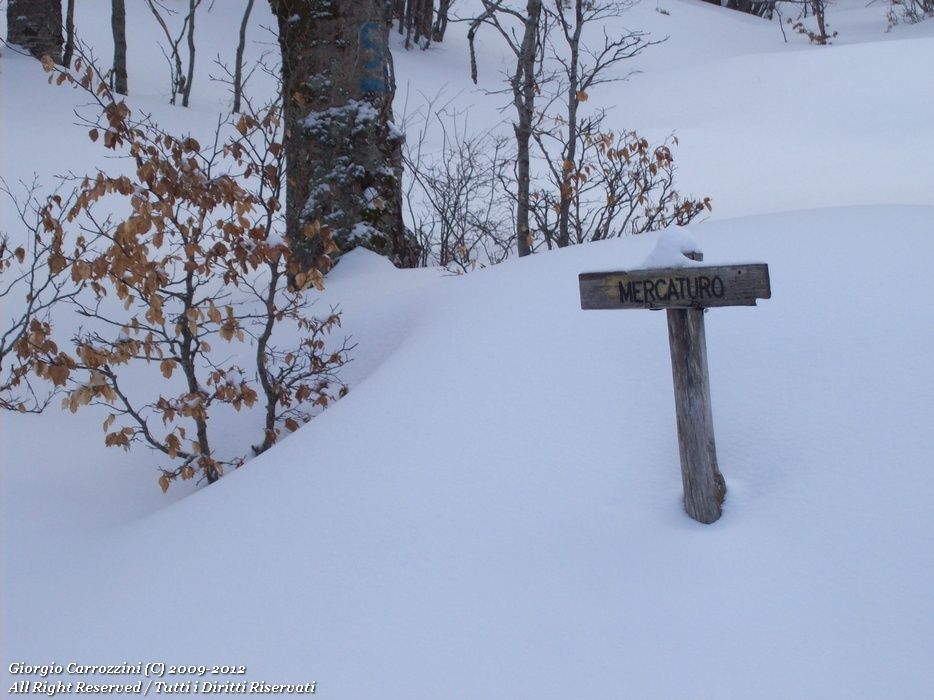 Escursione al Monte Cava (2000 m) per la Valle Amara
