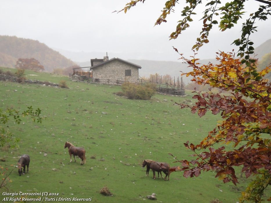 Rifugio Domenico Fioretti in Val Chiarino