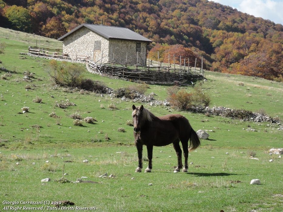 Rifugio Domenico Fioretti in Val Chiarino